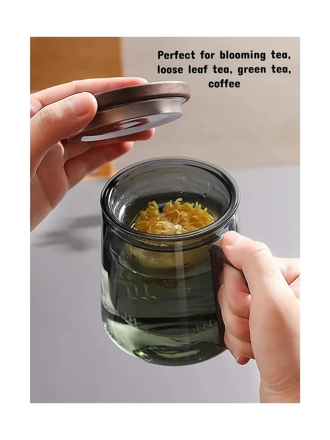 1Chase 1CHASE Borosilicate Glass Mug with Infuser 500ml